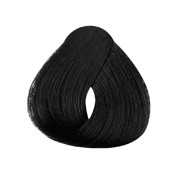 1 NEGRO COLOR - DOLPHIN ROSE